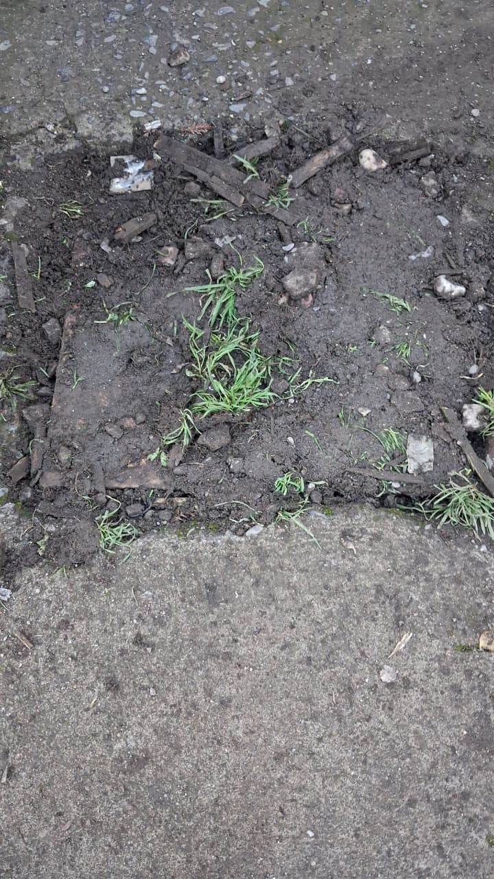 Terreno intervenido para localizar tubería